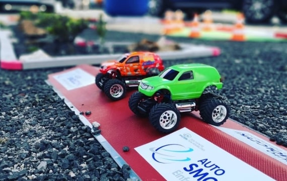 Mini-Z Monstertrucks mieten